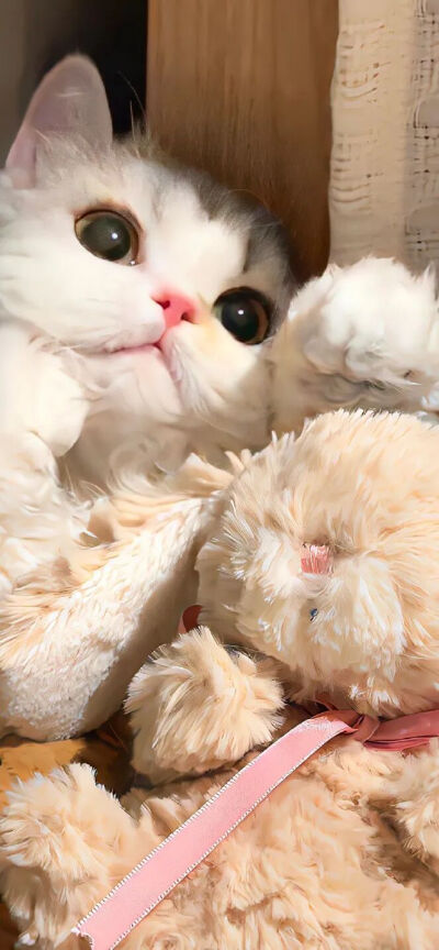 我是不会放弃收集这种图片的