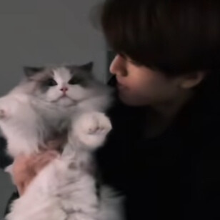 你的脸没有化妆我却疯狂爱上