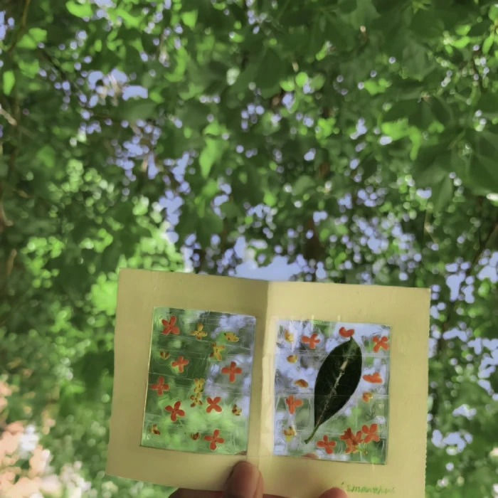 想了一百个关于春天的文案，都不及这一刻小城市里的春暖花开
（江郁宝宝送的）