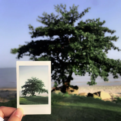 想了一百个关于春天的文案，都不及这一刻小城市里的春暖花开
（江郁宝宝送的）