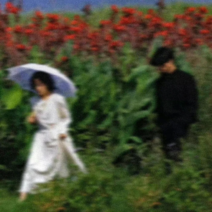 要在雨淋不到的环境，才能看到雨景