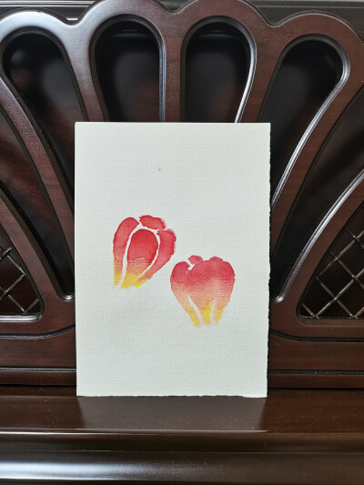 47 酸浆（绘画 | 水彩 | 果花甘05）
2018.10.04
裹紧半熟秋色，一盏盏灯笼悬在枝头。
糊灯笼的花笺被蝉鸣吻透，透出光。红的、橙的、黄的，都随着秋意晕开。
酸浆果包裹在灯芯里，比樱桃番茄更火热，比醋栗更温和。…