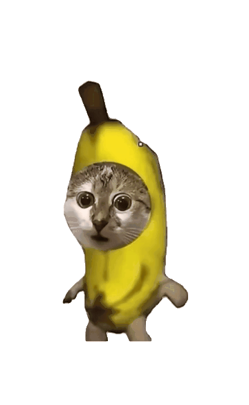 抽象猫咪表情包