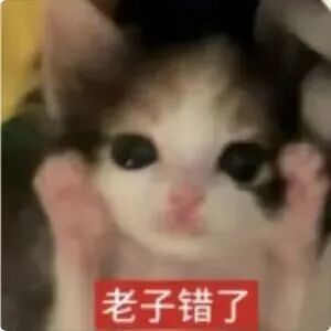 猫猫表情包