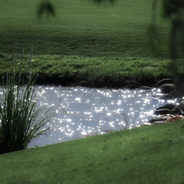 想了一百个关于春天的文案，都不及这一刻小城市里的春暖花开
（江郁宝宝送的）