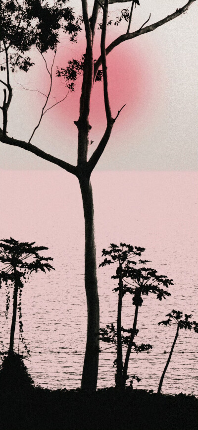 手机壁纸｜搬运网络 侵删