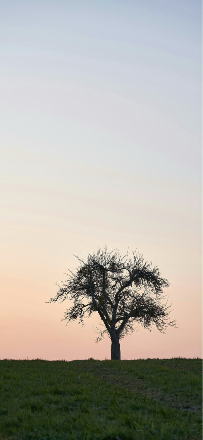 手机壁纸｜搬运网络 侵删