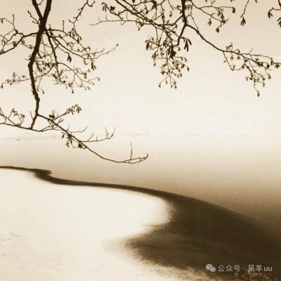 头像 棕色系列 小众 情绪 女