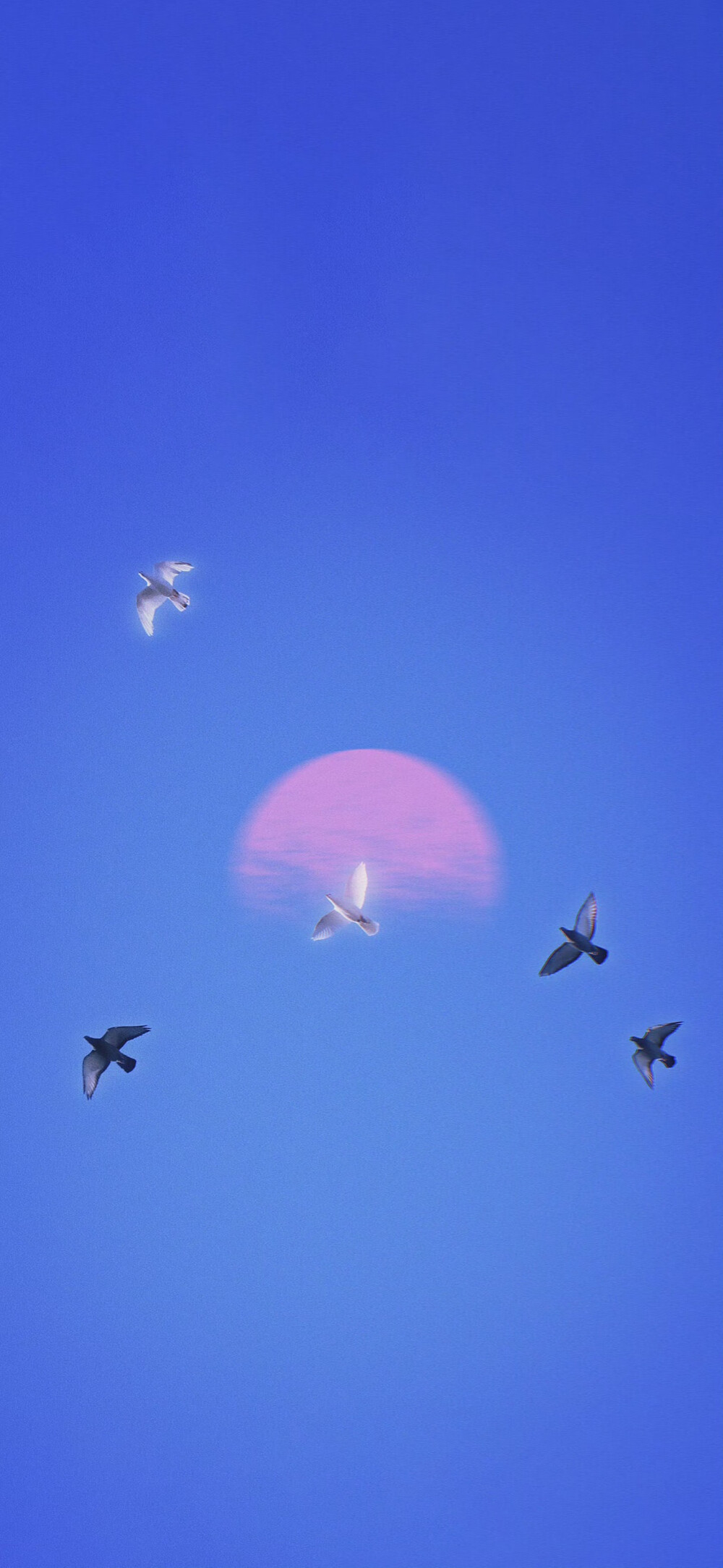 手机壁纸｜搬运网络 侵删