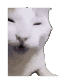 抽象猫咪表情包