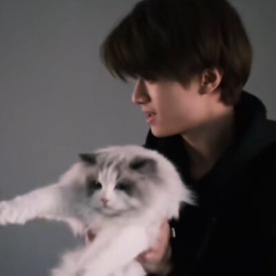 你的脸没有化妆我却疯狂爱上