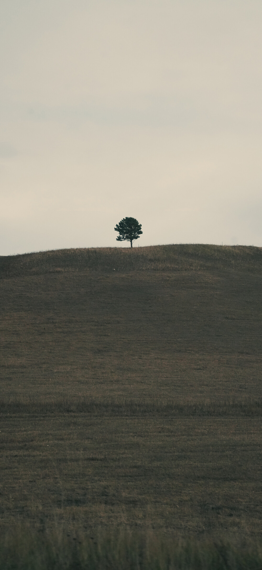 平铺壁纸 手机壁纸