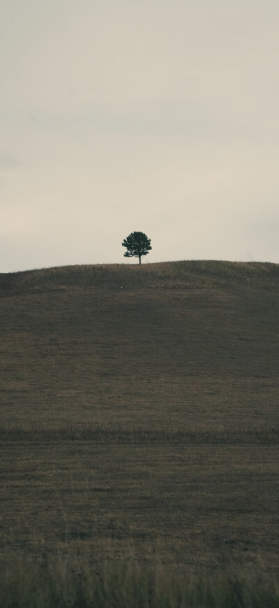 平铺壁纸 手机壁纸