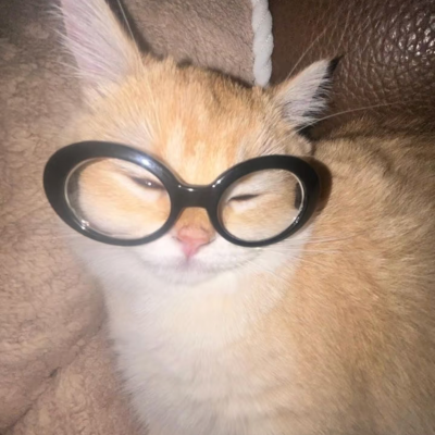 头像，动物，搞怪
