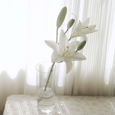 图源ks：偷喝汽水