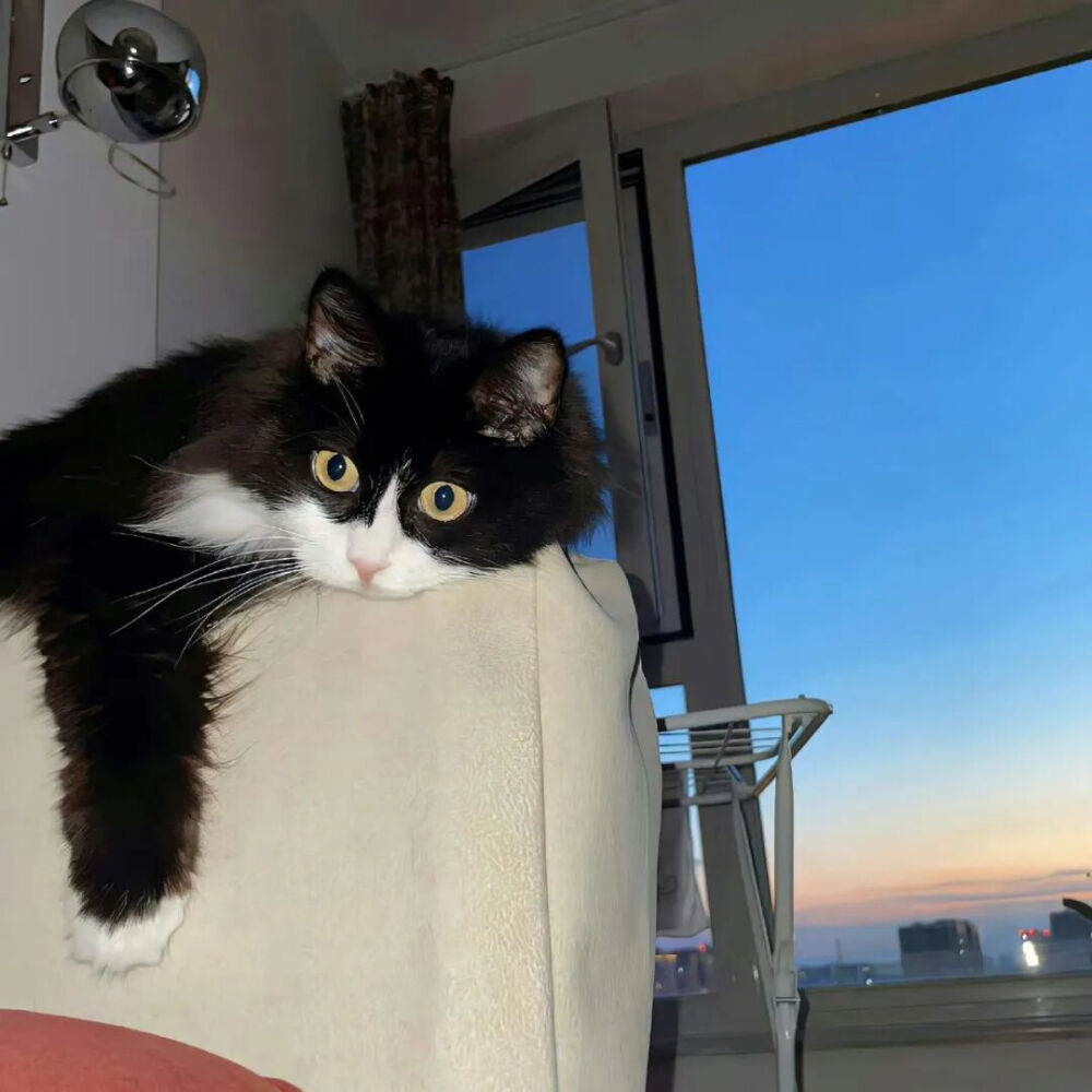 我是不会放弃收集这种图片的