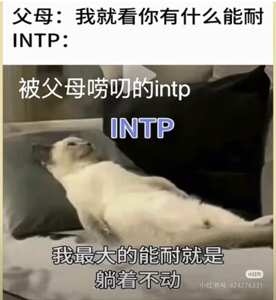 intp梗图