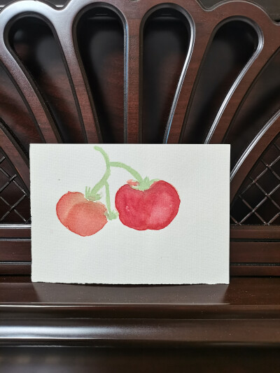 48 西红柿（绘画 | 水彩 | 果花甘05）
2018.10.04
夏天和秋天都记住了它的模样。西红柿有着青硬的青春，渐渐地汁液中沸腾晚霞，种子排列出星星图。
橙红的，尚于生涩中摸索酸甜的配比；红艳艳的，已经足够沉甸。
带…