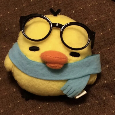 头像，动物，搞怪
