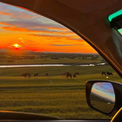风吹草低见牛羊