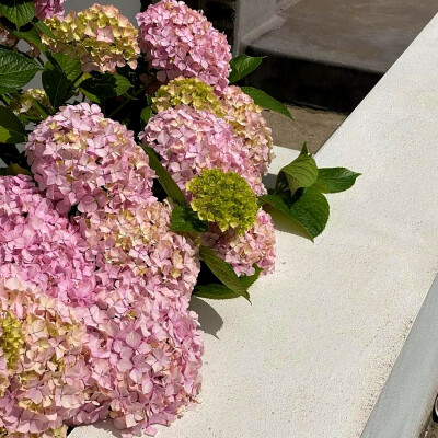 日常
蔓草绿幕浸苔痕