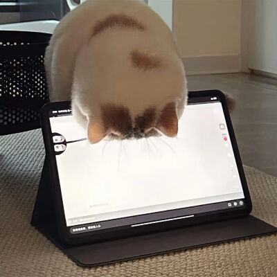 我是不会放弃收集这种图片的