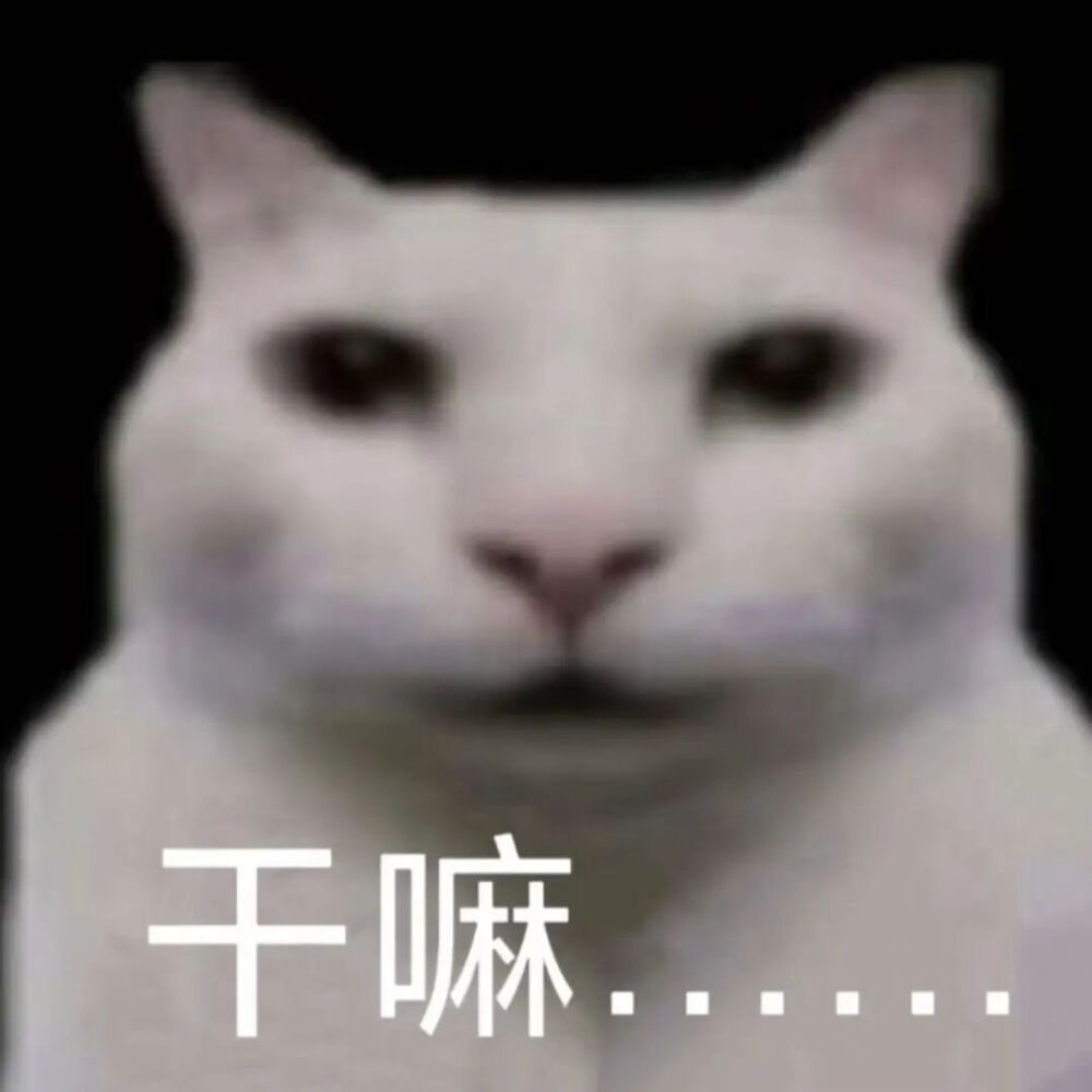 猫猫表情包