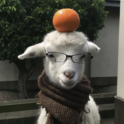 情头 可爱 动物 羊 猫