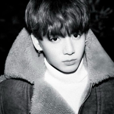 一只猫毁了我的死神梦