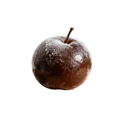 食物饮品白底头像