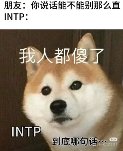 intp梗图