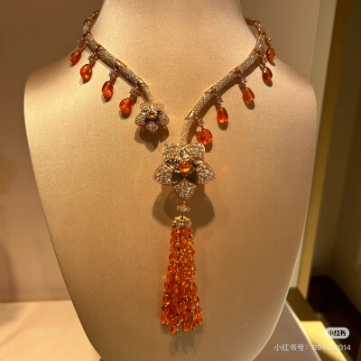 璀璨-小红书转载