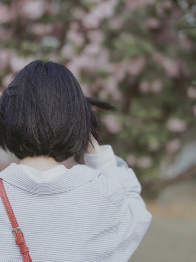 图片源自网络，侵权联系删除