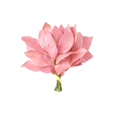 柚子叶白底头像
图源小红地瓜 喵了个图