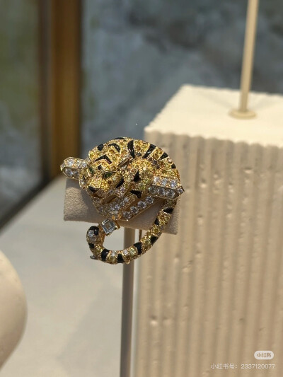 璀璨-小红书转载
