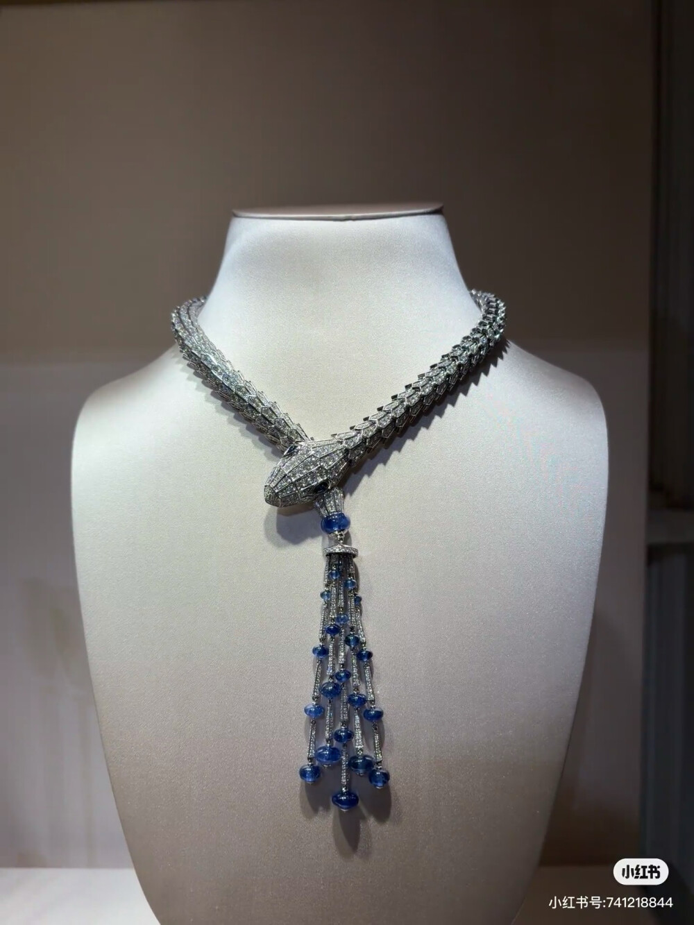 璀璨-小红书转载