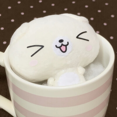 (˶‾᷄ ⁻̫ ‾᷅˵)