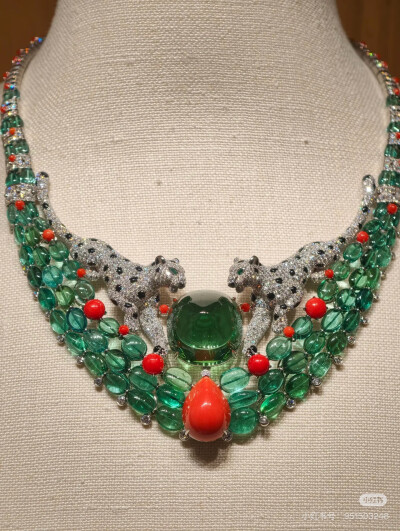 璀璨-小红书转载