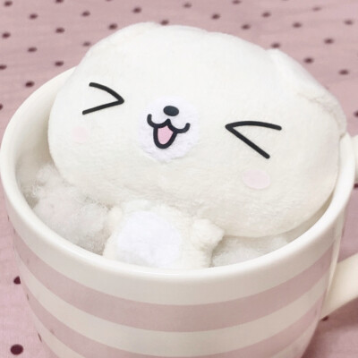 (˶‾᷄ ⁻̫ ‾᷅˵)