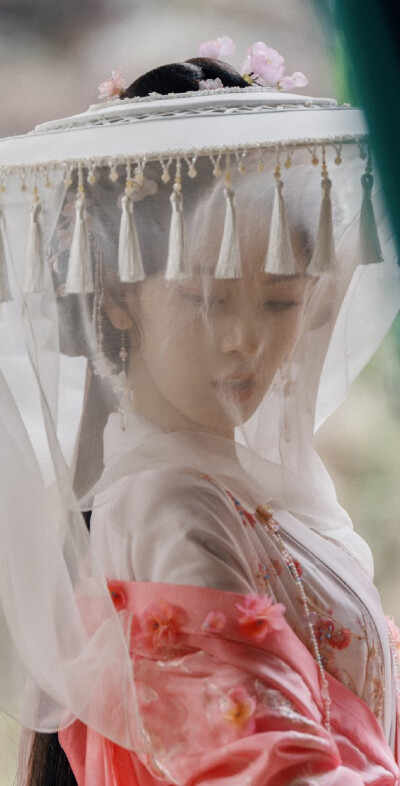 陈瑶《水龙吟》西方桃