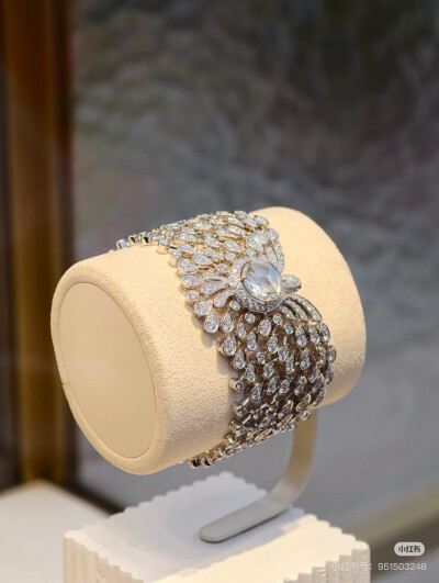 璀璨-小红书转载