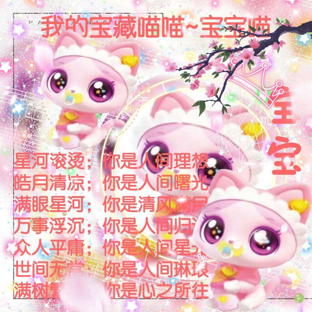 宝宝喵的美图来啦