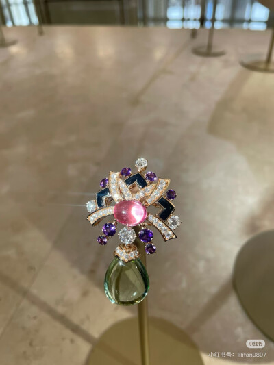 璀璨-小红书转载
