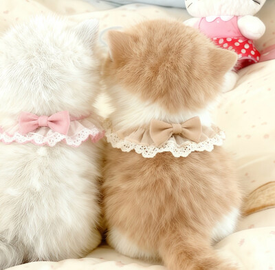 我的萌天下无双