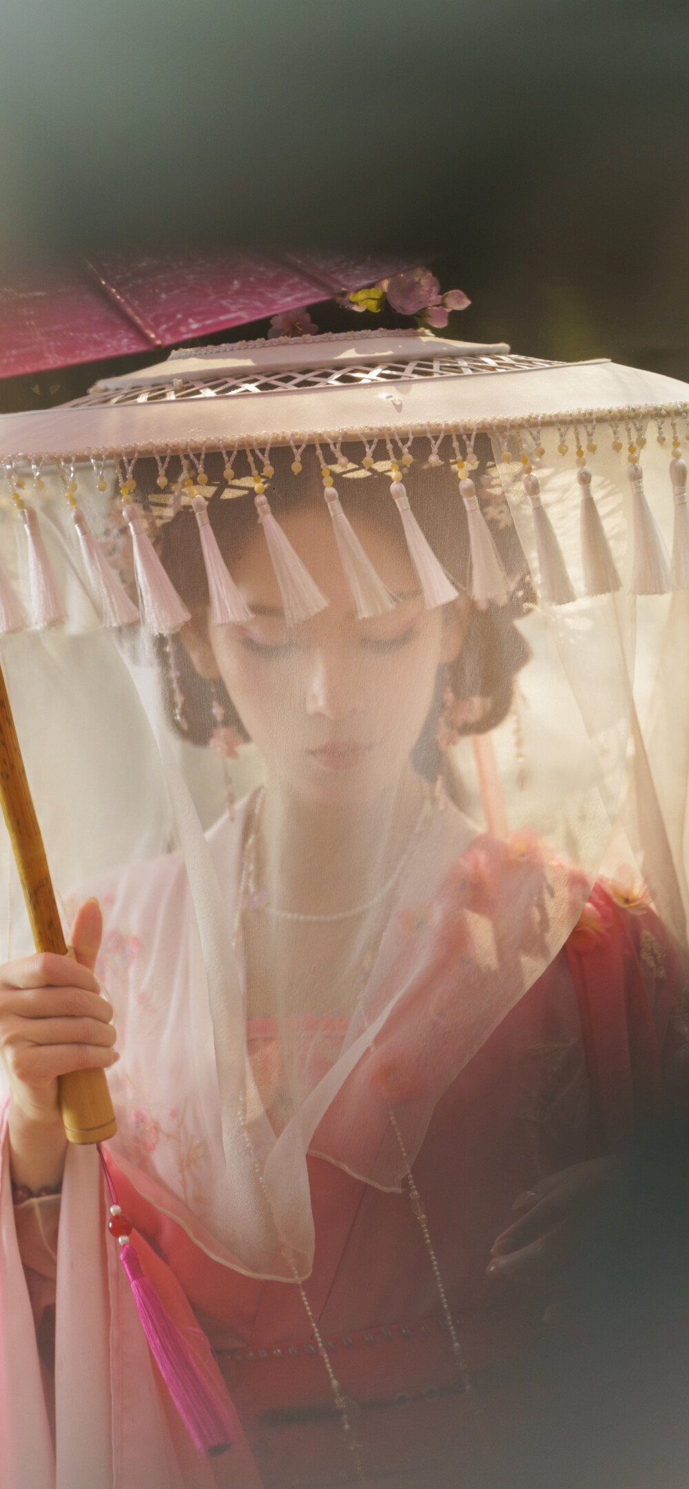 陈瑶《水龙吟》西方桃