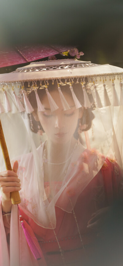 陈瑶《水龙吟》西方桃