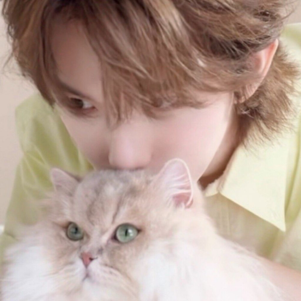 凑了一对bk情头，都调过了食用收单靴靴(´･ω･`)