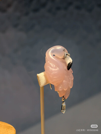 璀璨-小红书转载
