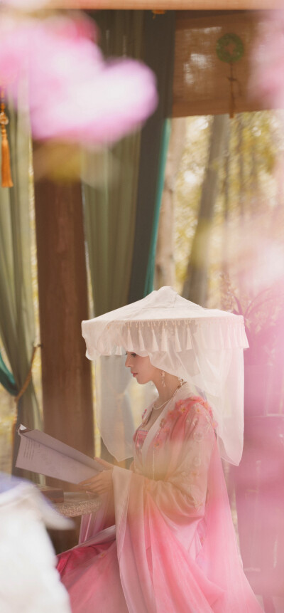 陈瑶《水龙吟》西方桃