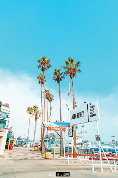 海风拂面，世界在指尖流转